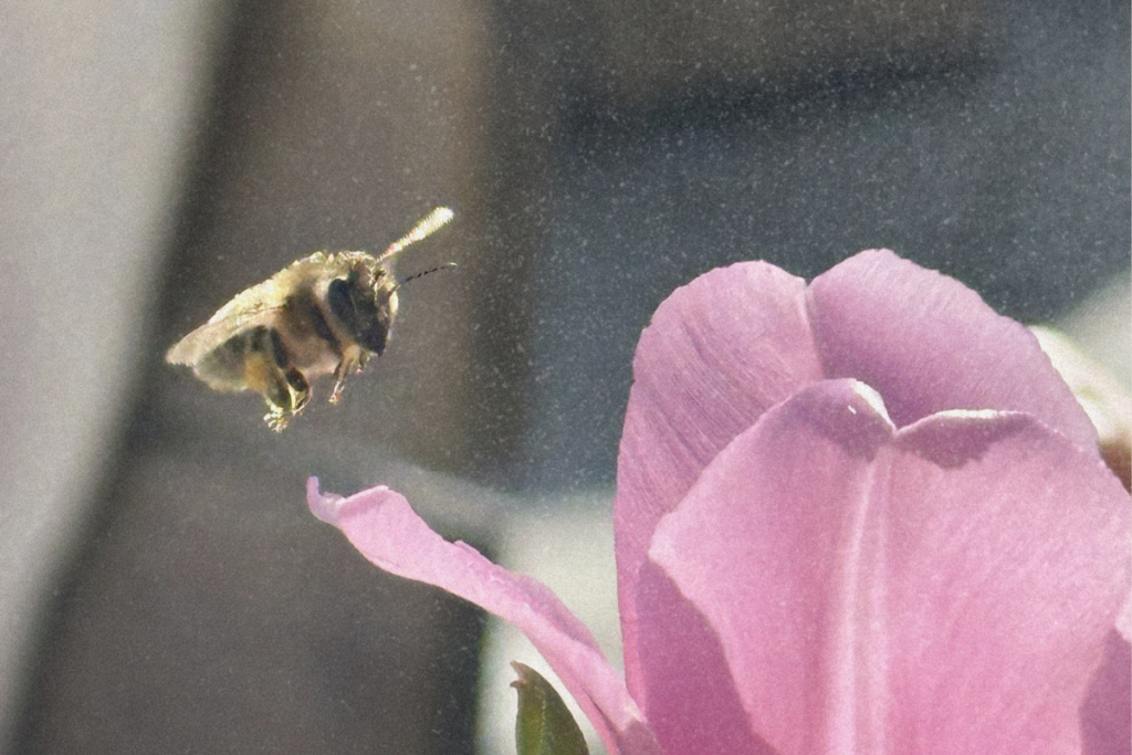 what it truly means to be highly sensitive