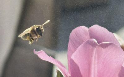 What it truly means to be highly sensitive