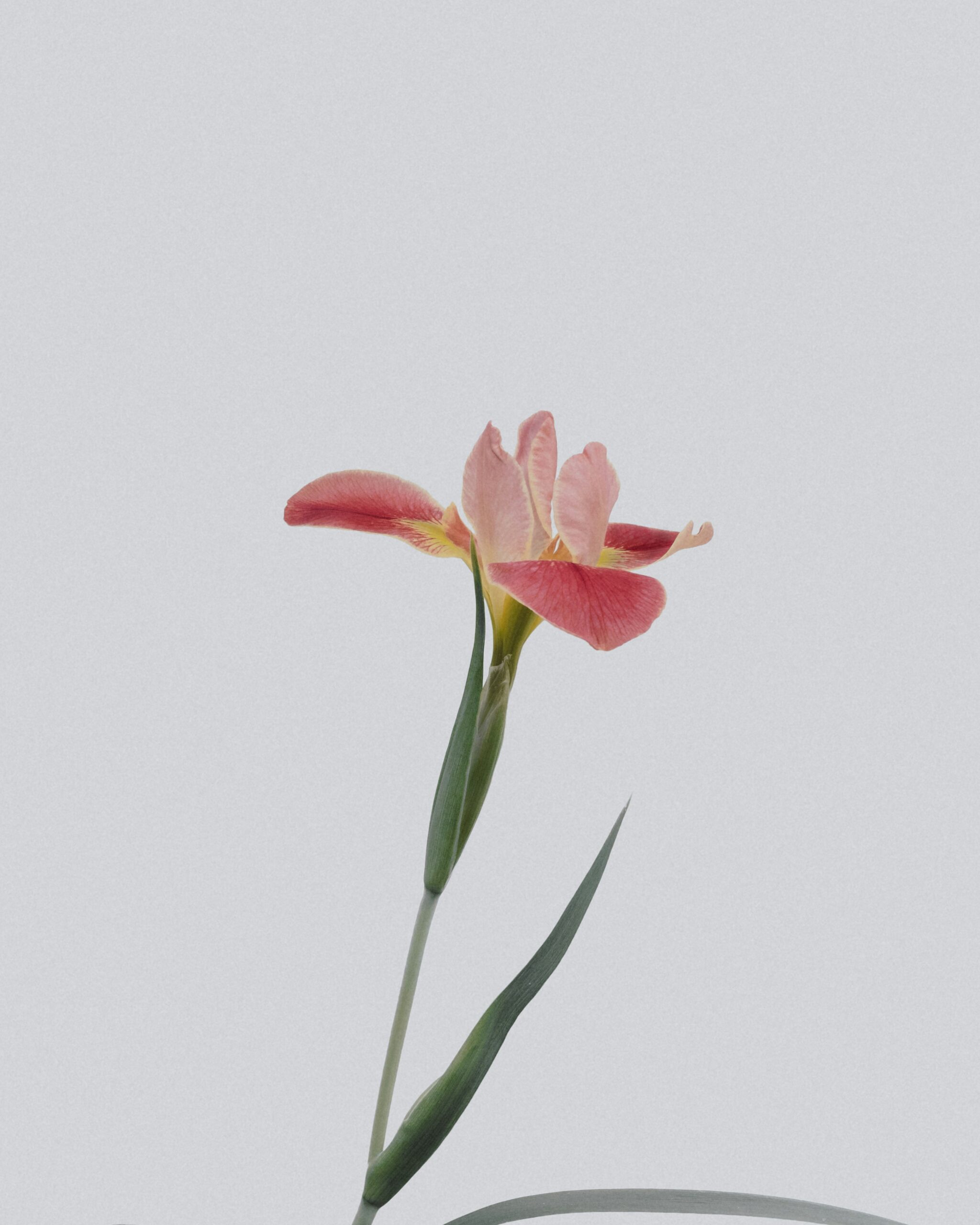 sensitivity